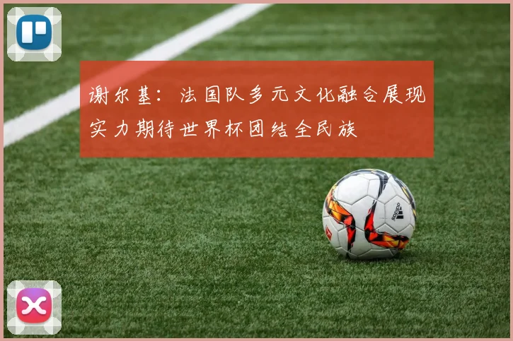 谢尔基：法国队多元文化融合展现实力期待世界杯团结全民族