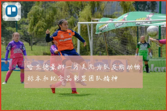 哈兰德豪掷一万美元为队友购动物标本和纪念品彰显团队精神